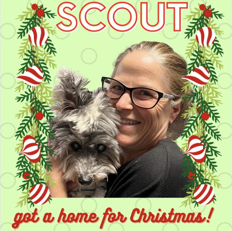 ScoutAdopted
